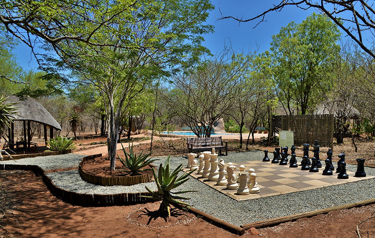 jackalberry CHESS-4 (Copy) jackalberry CHESS-4 (Copy)