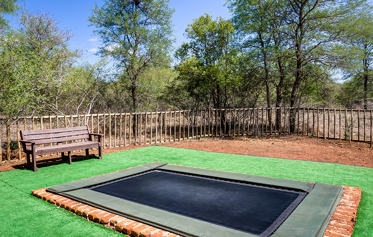 jackalberry TRAMPOLINE-2 (Copy) jackalberry TRAMPOLINE-2 (Copy)