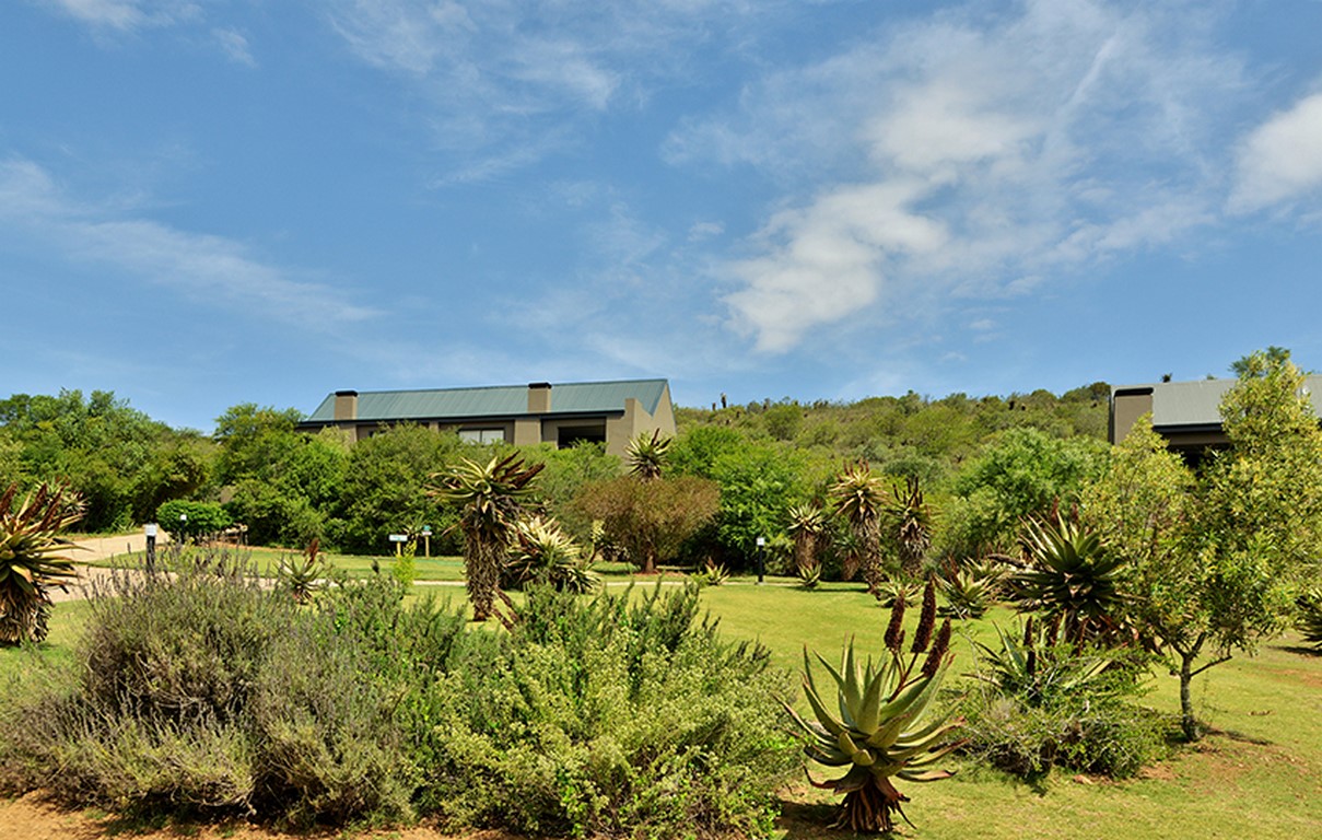 stonehill-gallery_09 (Copy) stonehill-gallery_09 (Copy)